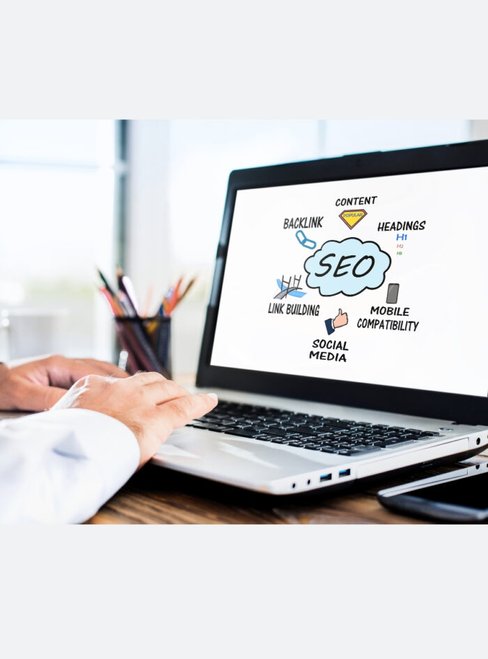 Best SEO Expert Freelancer in Ludhiana